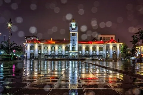 خرید فرش در رشت