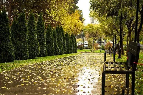 خرید فرش در کرج