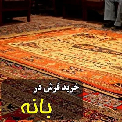 نمایندگی شهر فرش در بانه