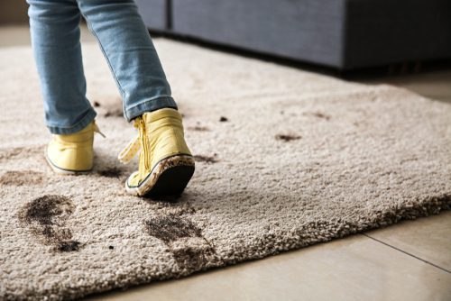 عوارض وحشتناک پاکیزه نبودن فرش ها بر سلامت بدن